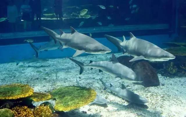 旅游景区收到游客投诉价格偏高,景区门票调价投诉