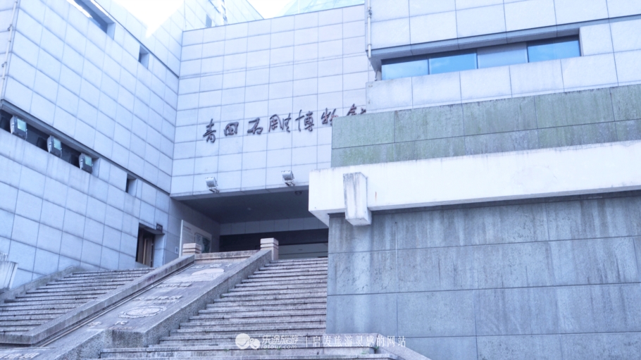 我若问自己客从何处来——浙*青江**田