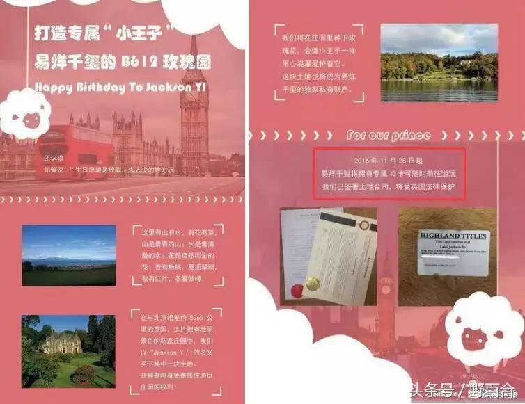 tfboys组合还会继续走下去吗,tfboys还会重新组合吗