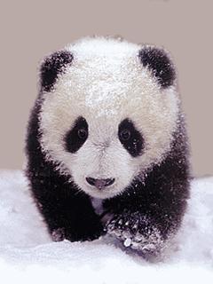 好听优雅内涵的原神网名,听起来好听又不尴尬的网名