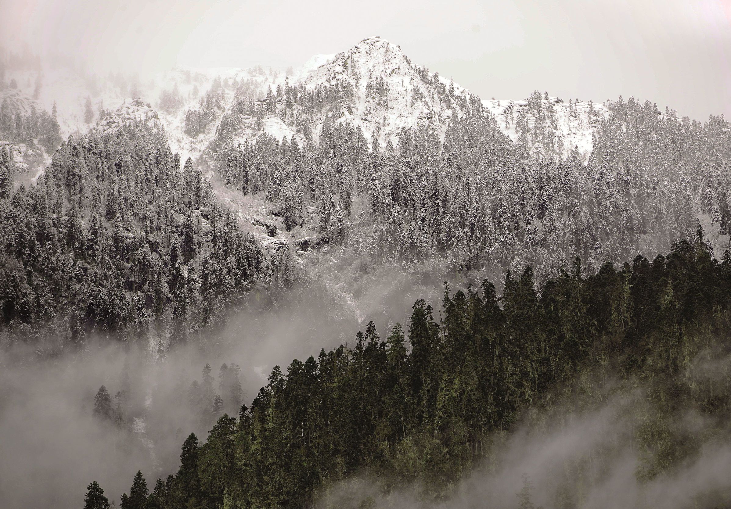 麦克马洪线附近的莲花神穴