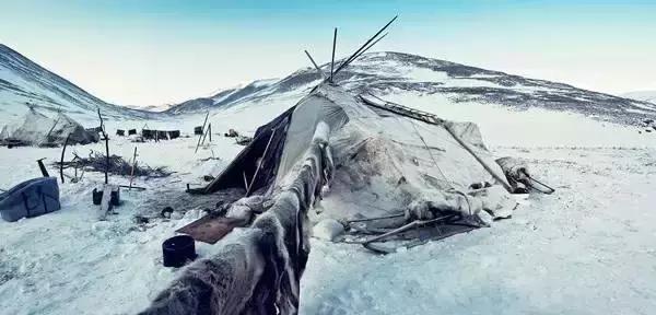 哈士奇的缺点和优点小型犬,狗的品种哈士奇的特点和性格