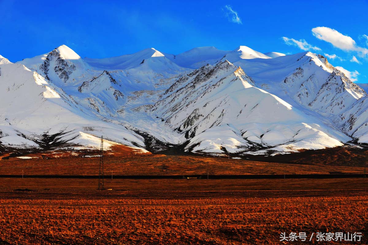 青海拉面和兰州拉面,兰州拉面青海拉面