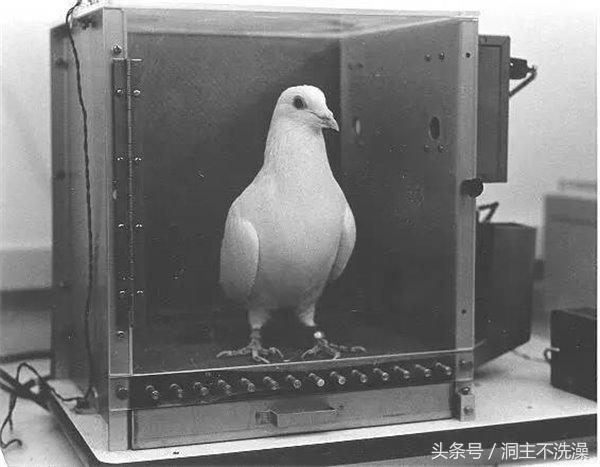 中国足球这些年来是打一场输一场,中国足球谈失败原因