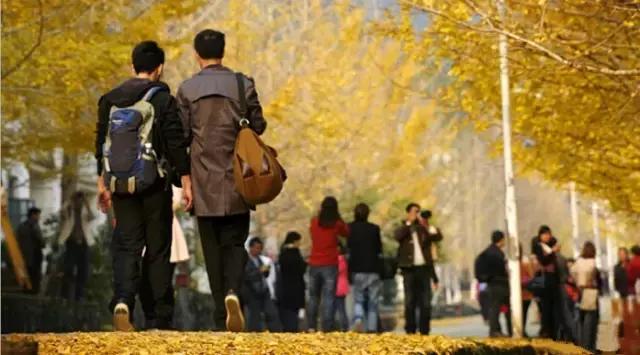 南雄看银杏值得去吗,南雄看银杏攻略