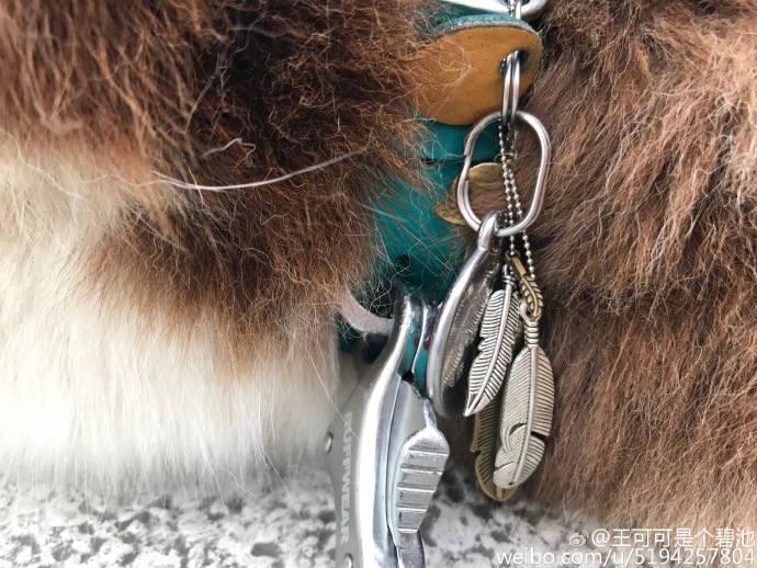 王思聪敢给王可可买这条狗链,看来是决心挑衅整个娱乐圈了