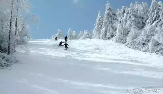 武汉去咸宁泡温泉加滑雪攻略,滑雪温泉武汉