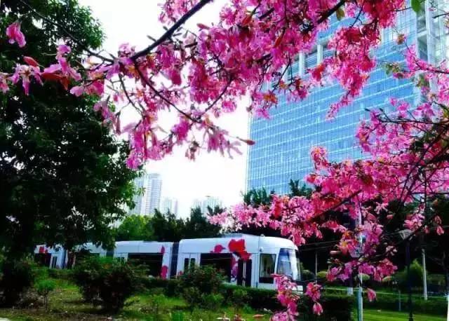 在广州生活是什么体验,广州生活体验