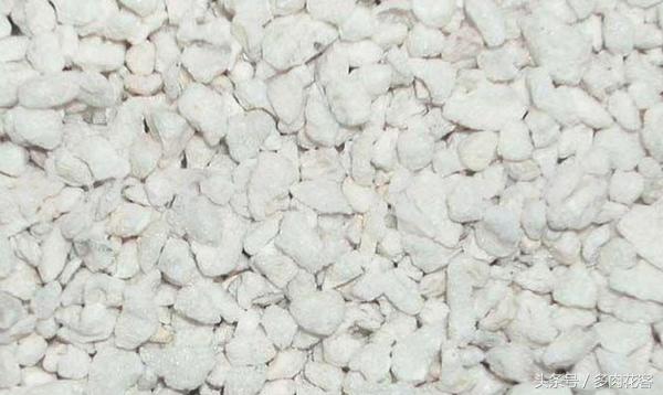 粗河沙可以当多肉的铺面石吗,多肉铺面石用小石子可以吗