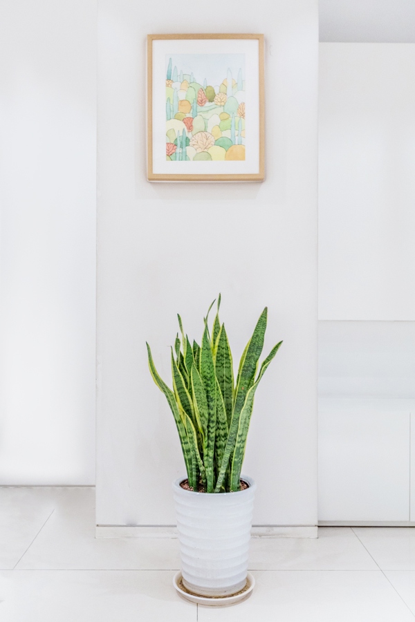 如何提高出租屋档次,如何打造温馨的出租屋