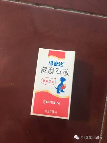 金毛从成年开始养,金毛养成