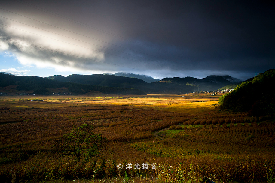 这个民族的祖先因战败被迫流离失所，却创造出世界上独一无二奇迹