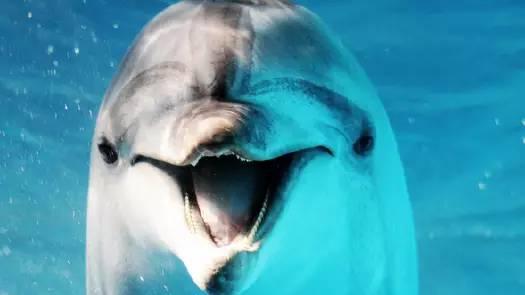 12月旅游特价机票,重庆白菜价机票