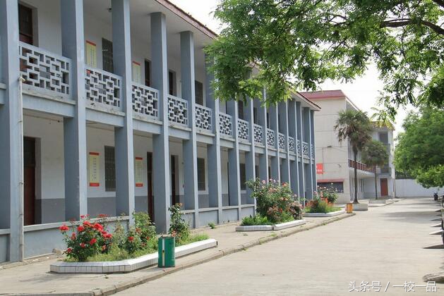 驻马店校园足球培训学校,河南省驻马店第二高级中学足球队