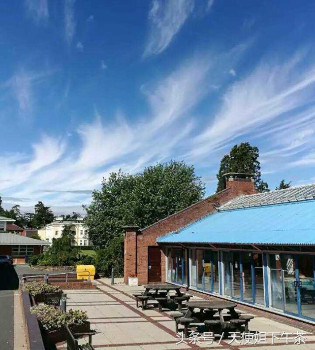 送孩子留学必看的10件事,儿童出国需要带哪些资料