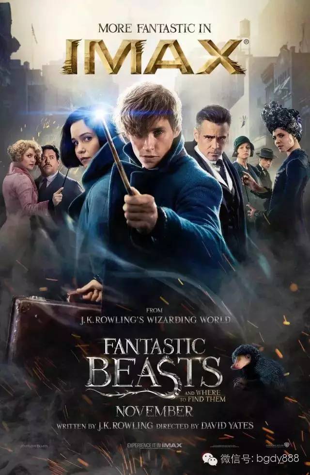 读了麻瓜麻鸡魔法入门，《神奇动物》会好看100倍