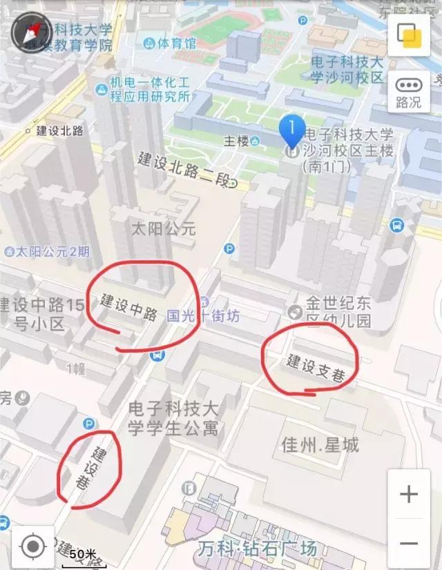 全国十大最美银杏大学,全国最美银杏大学