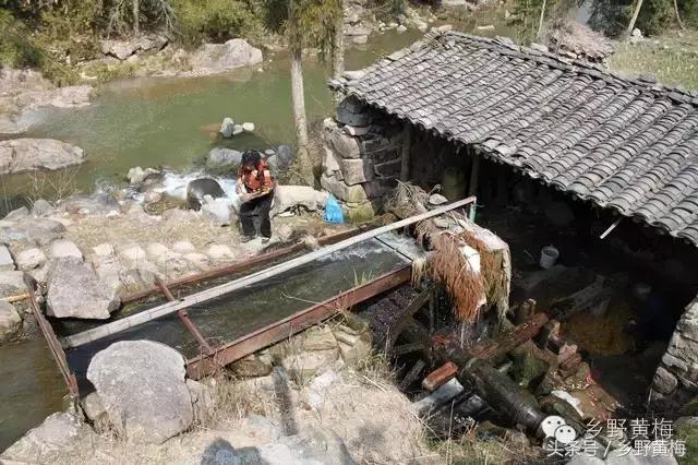难忘大青山,难忘中学