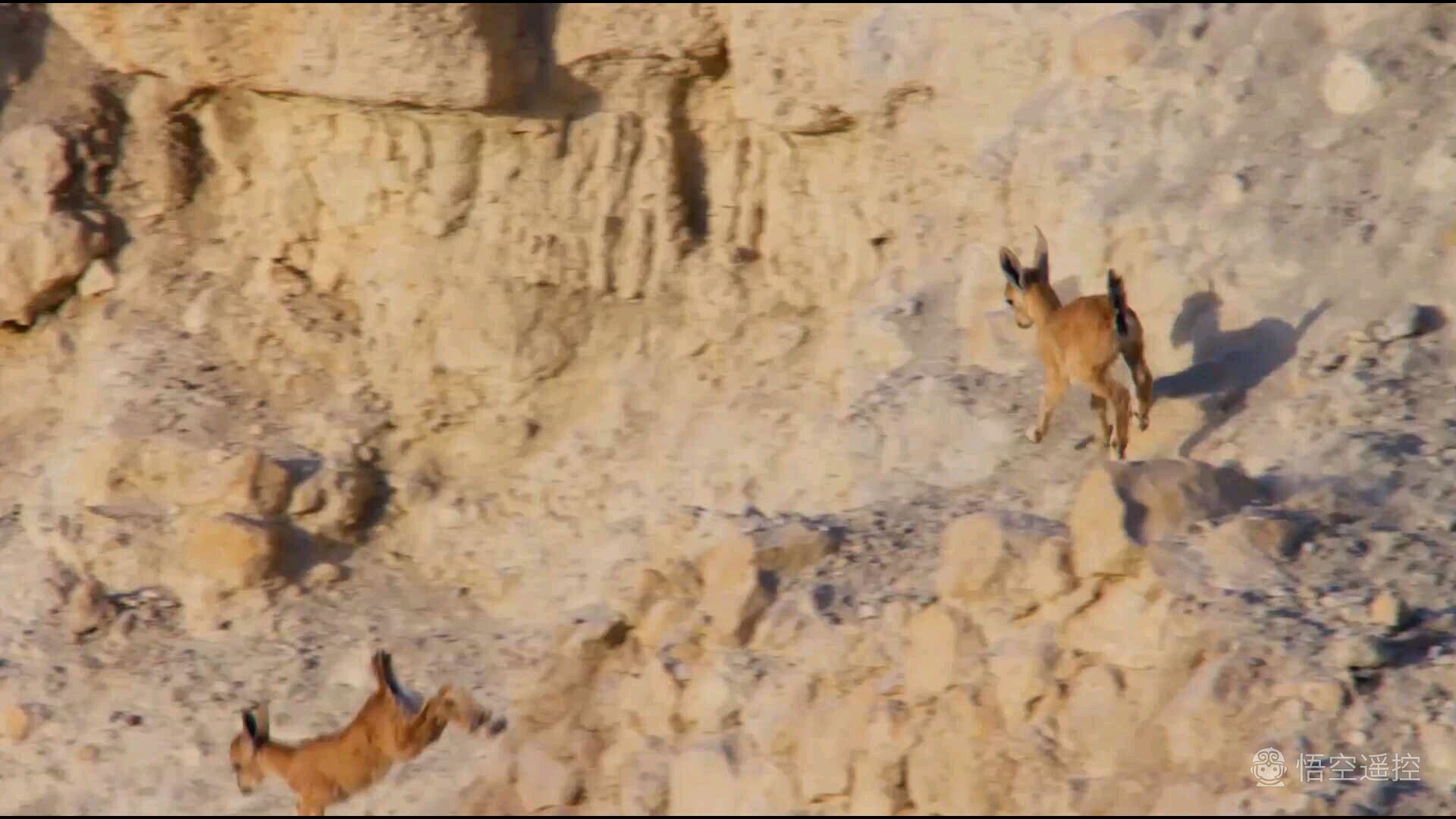 小米盒子3s刷国际版存在缺点,小米盒子3s清晰度没有4k