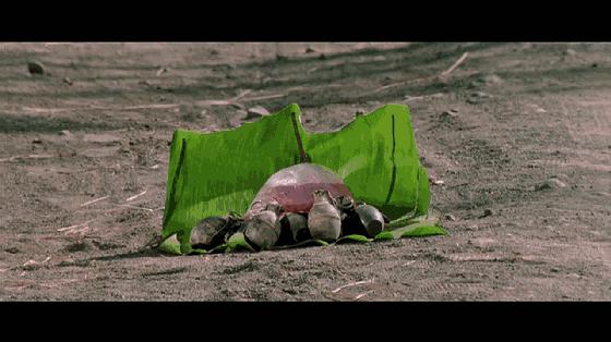 东方秃鹰洪金宝完整视频,东方秃鹰洪金宝的作品大全