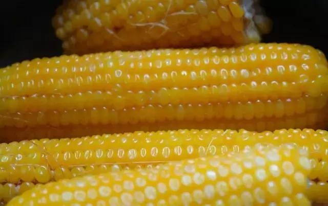 东北人的最爱,东北人的最爱东北大冻梨