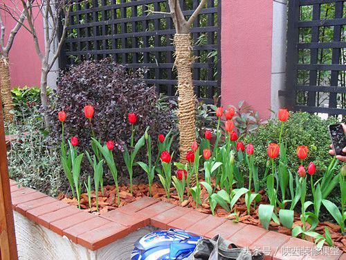 280平花园法式,我家花园的氛围感