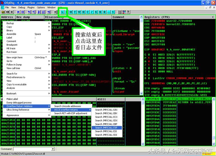软件漏洞报告,漏洞分析技术基础
