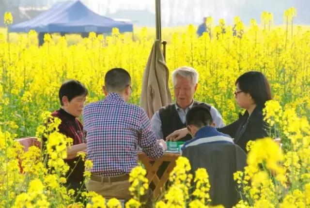 提起成都你会想起什么美食,提到成都你会想到什么