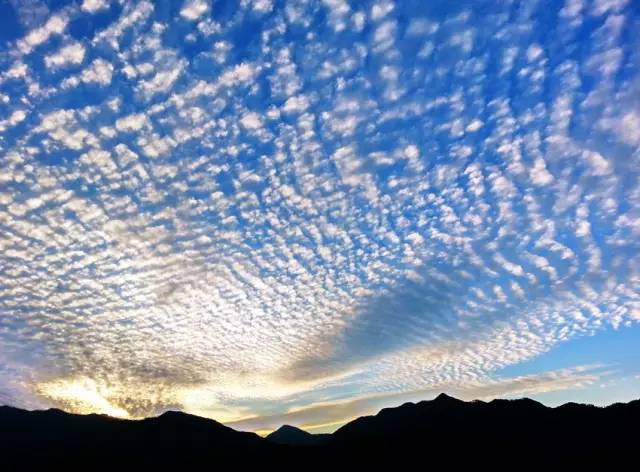 2024手机摄影大赛获奖作品,让你惊艳的手机摄影获奖作品