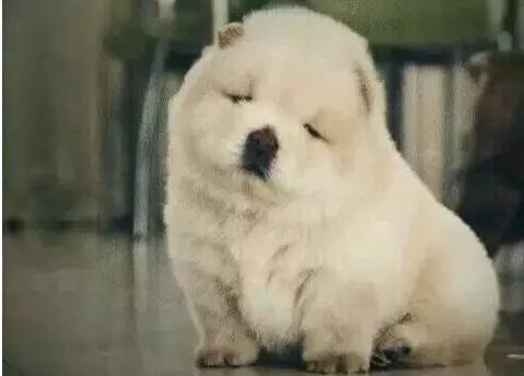 告诉你真实的央企,万科房地产2024年终奖