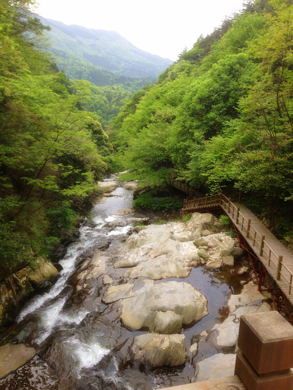 再秘密也得曝光！庐山这13个精品酒店完全让人死去活来！