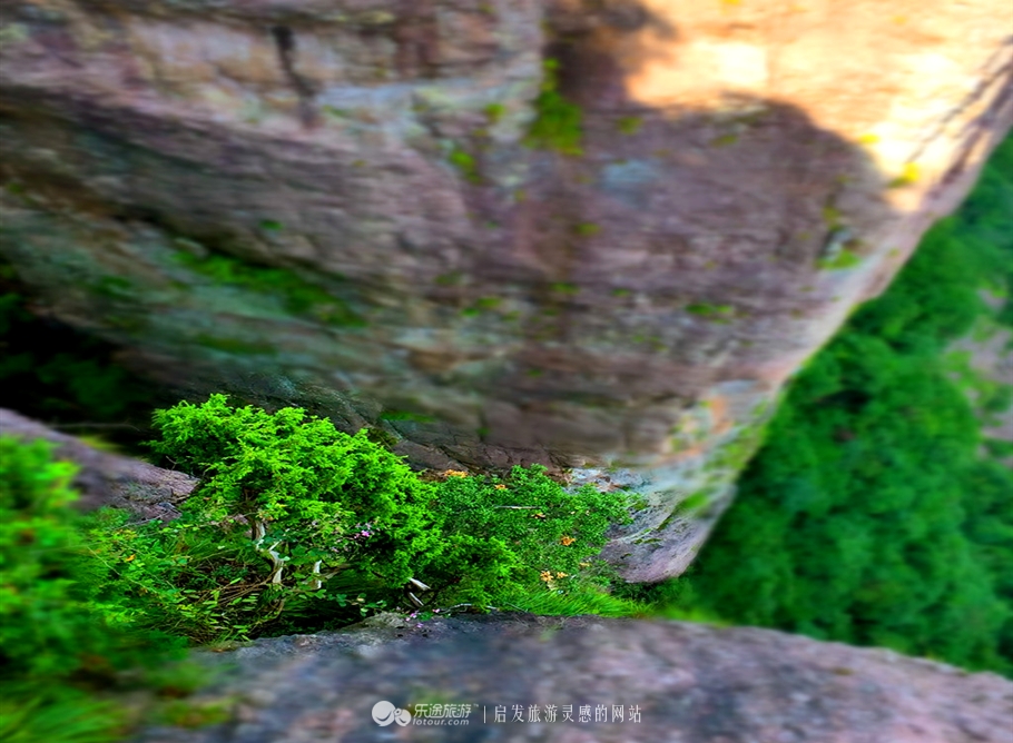 神仙居的景色真的很美,神仙居山水美如画