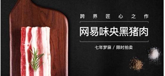 一头卖8万多，蹲马桶睡公寓的网易猪到底靠不靠谱？