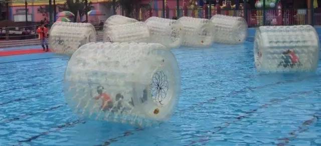 萌萌哒海狮空降海口，竟然还有这样的水上活动！