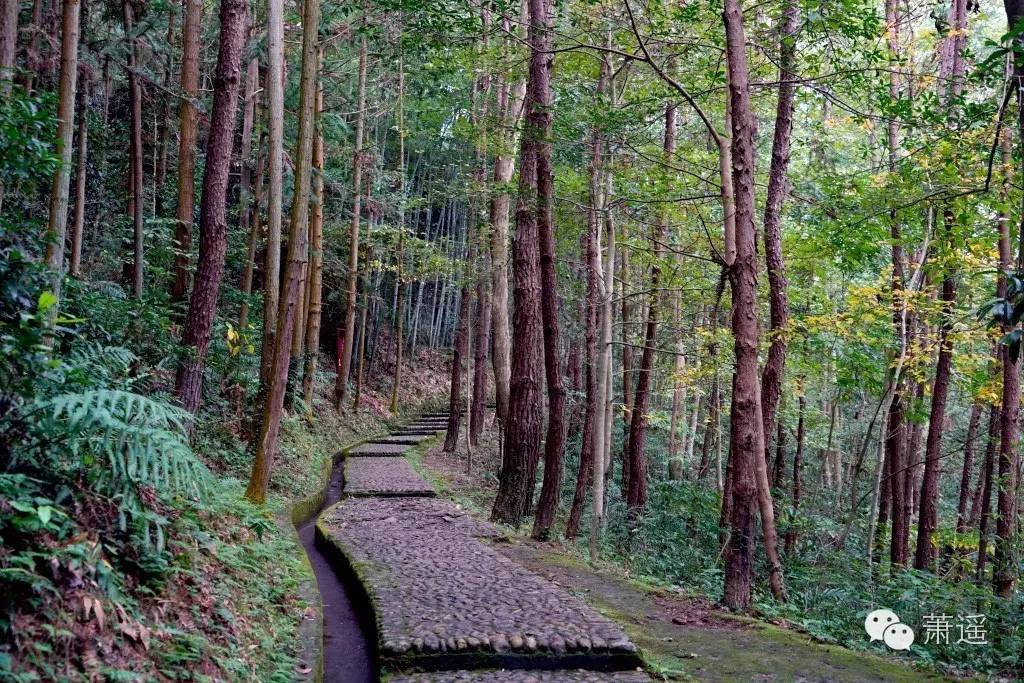 和国外人说话语言不通怎么办,与外国人无障碍交流方法