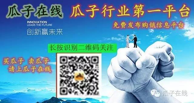 瓜子行情全年走势,生葵花瓜子价格行情走势