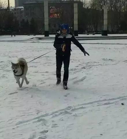 狗狗看雪需要注意什么,下雪天狗狗应该注意什么