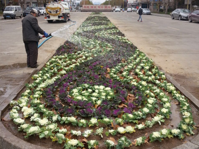 平度校区开建、全国创业大赛银奖、徽文化摄影展……农大一周如此精彩！