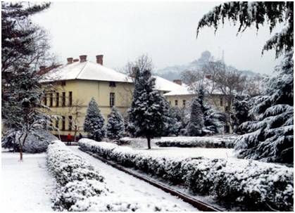 中国海洋大学真的没有海吗？