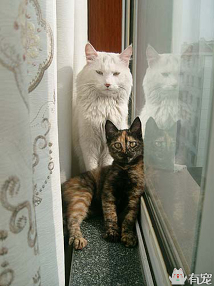 有福之人满满的幸福 (有才和有福的成长日记)