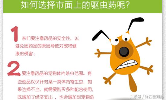 消灭跳蚤最有效的方法,消灭跳蚤最好最快的方法