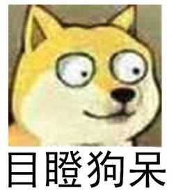 权健进中超后的投入,权健和中超