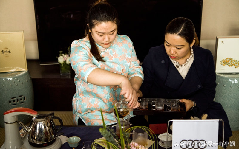 保定轩宇鑫悦奥迪竞秀区,高档红酒品鉴欣赏