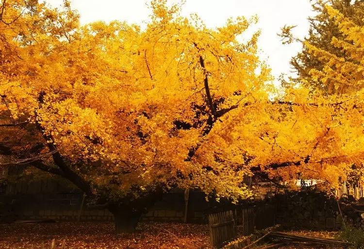 最近昆明哪里风景比较好,昆明周边的绝世美景