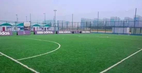 成都最爽看足球比赛的地方,成都凤凰山专业足球场看球攻略