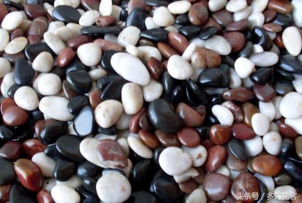 粗河沙可以当多肉的铺面石吗,多肉铺面石用小石子可以吗