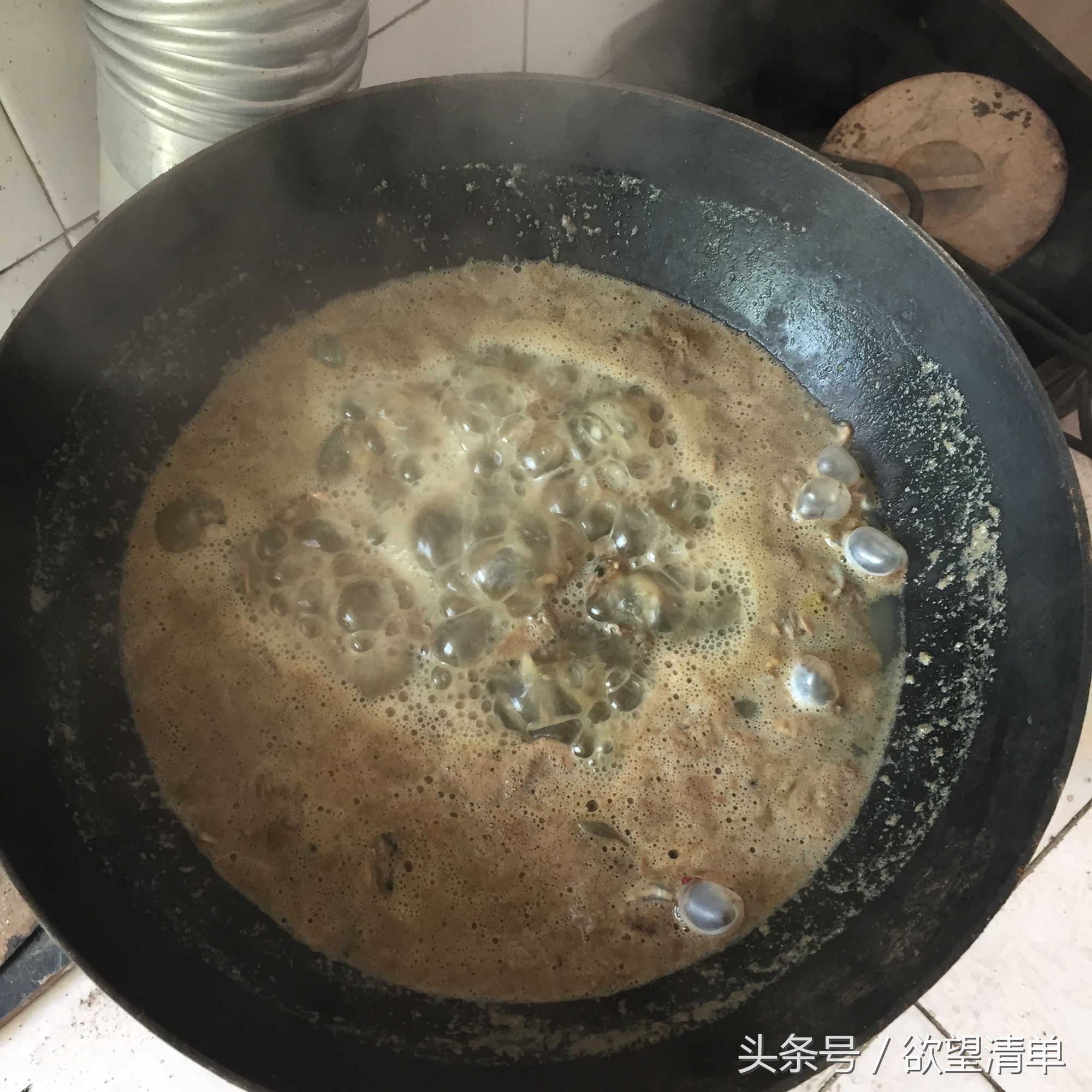 母狗生了狗崽煮什么给他吃,家里狗生了一窝小狗主人吃了