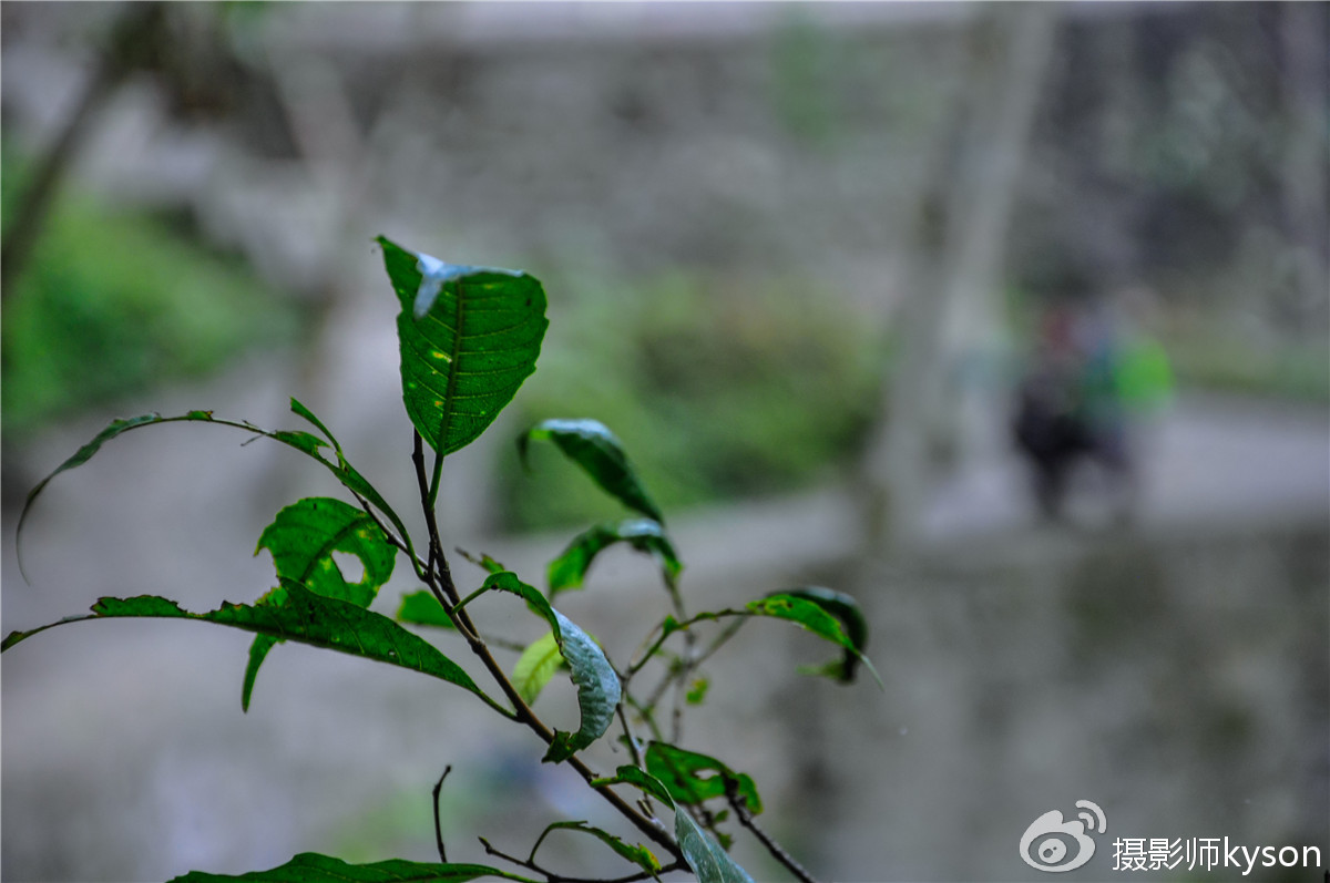 侠之梦受邀参与恩施坪坝营线路测试，冬季溯溪，冰冷刺骨，第一天