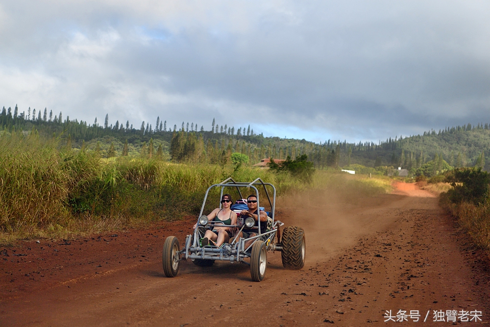 夏威夷｜风之魔力，火山星球