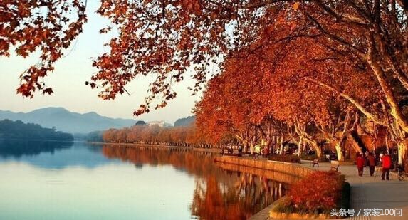 伙呆!杭州遇上地中海,是场最美丽的意外!